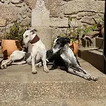 Villa Casa Do Muro Alto *