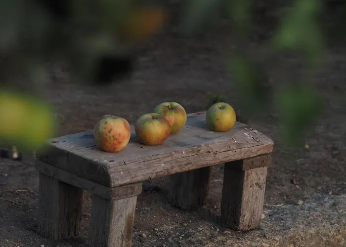 Casa Do Muro Alto Alvelos