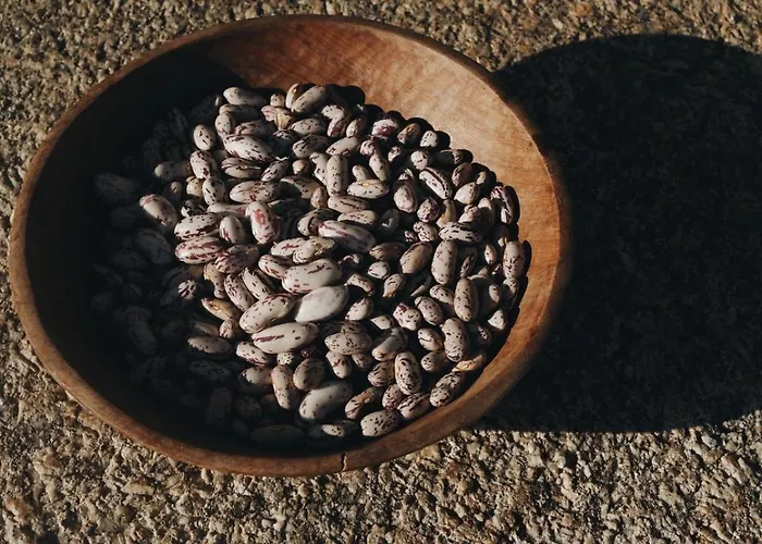 Casa Do Muro Alto Villa