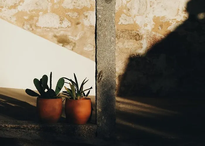 Casa Do Muro Alto * Alvelos