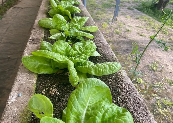 Villa Casa Do Muro Alto *