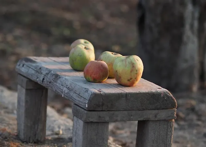 Casa Do Muro Alto Villa Alvelos