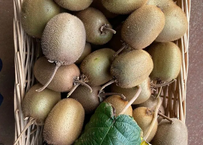 Casa Do Muro Alto Villa Alvelos