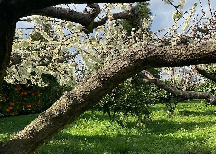 Villa Casa Do Muro Alto *