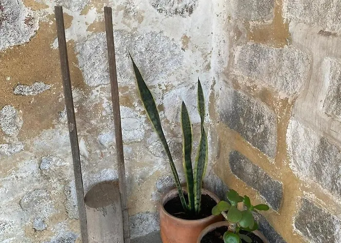 Villa Casa Do Muro Alto