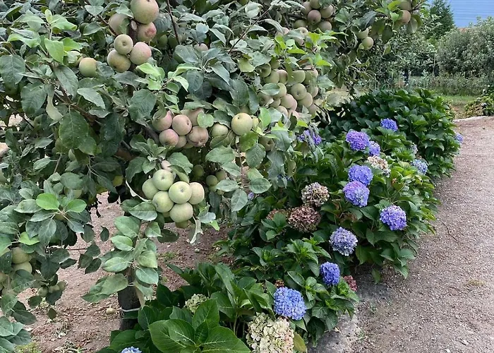 Villa Casa Do Muro Alto *