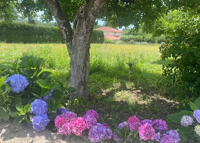 Casa Do Muro Alto Alvelos