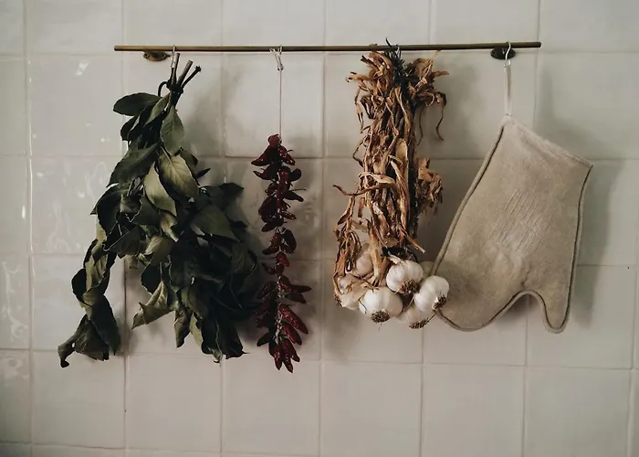 Casa Do Muro Alto * Alvelos