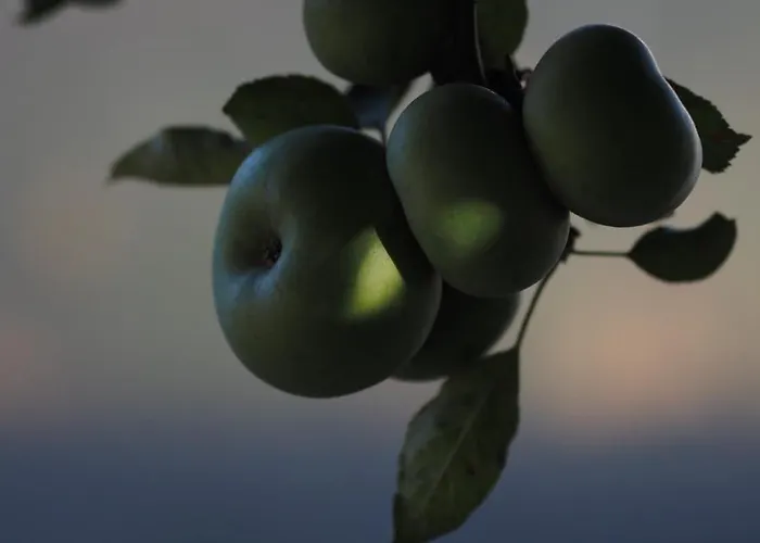 Casa Do Muro Alto Villa *