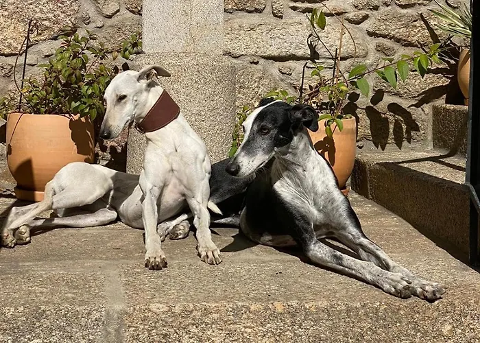 Villa Casa Do Muro Alto *